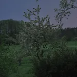 Apartament Osterloff Oderberg