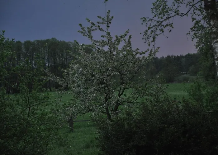 Daire Osterloff Oderberg